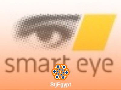 Data Annotation Specialist - smart eye