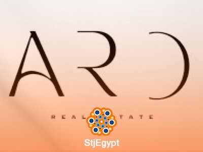 Real Estate Sales Agent - Aro Investment