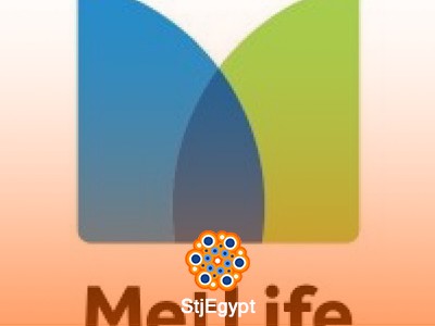 Sales Agent - MetLife