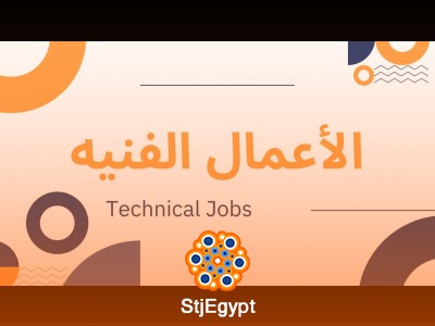 Motion Graphic Designer & Video Editor