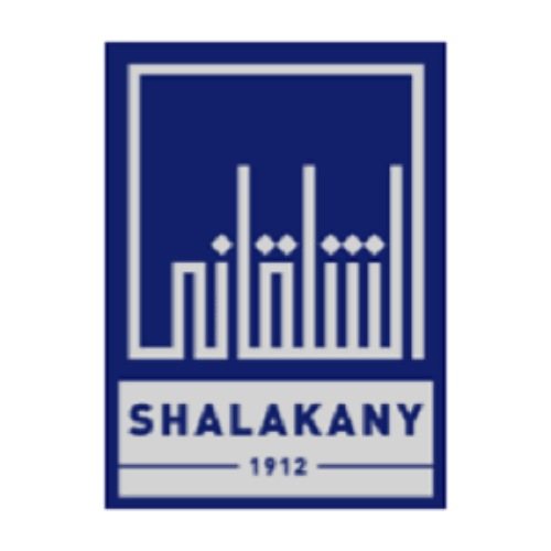 Shalakany Summer Internship - STJEGYPT