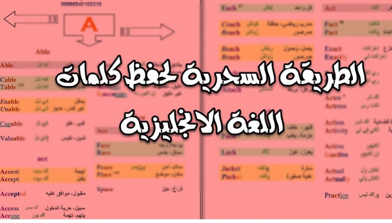 كيفية حفظ كلمات في الانجليزي بسهولة بطرق رائعة Stjegypt