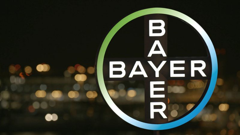 Regulatory Affairs Specialist at Bayer - STJEGYPT