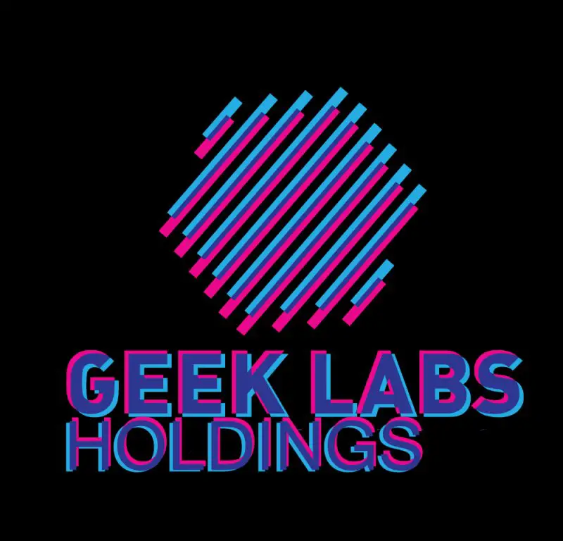 Accountant at Geek Labs Holdings - STJEGYPT