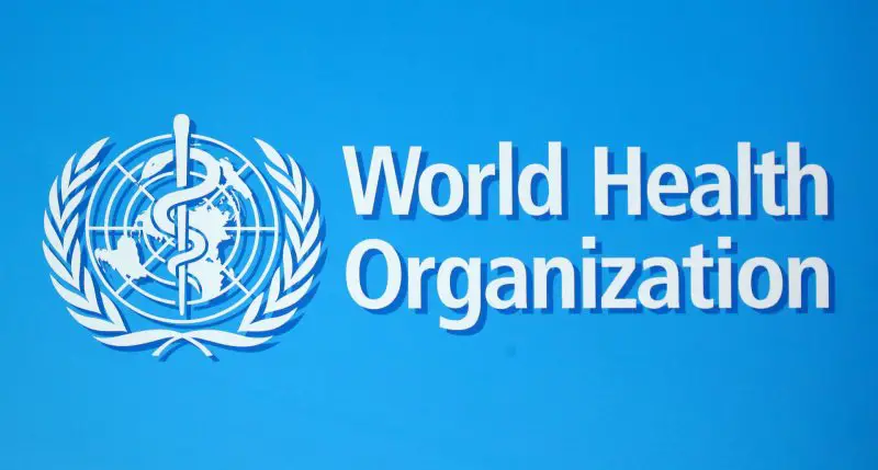 Technical Assistant - World Health Organization - STJEGYPT