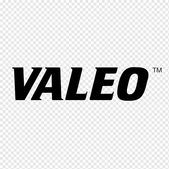 Software Validation Test Engineer - Lidar Detection systems  at Valeo - STJEGYPT