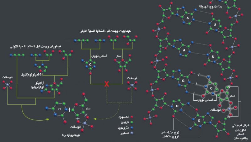 أفضل مصادر تعلم الفيزياء للمبتدئين – كورسات وكتب مجانية