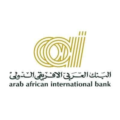 Data Entry - Arab African international bank - STJEGYPT