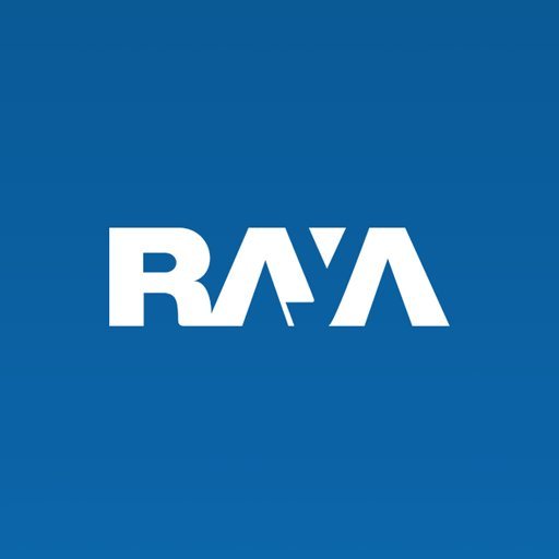 Accountant - Raya - STJEGYPT