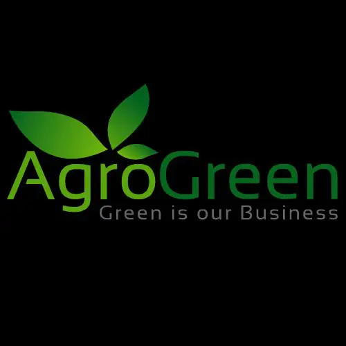 Accountant at Agro green - STJEGYPT