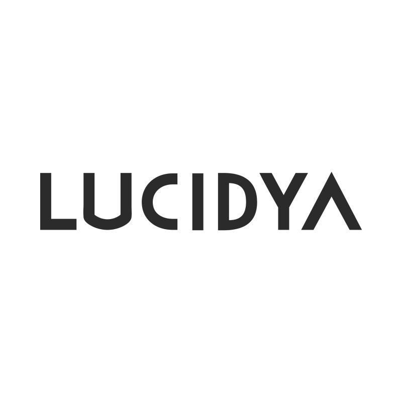 تحسين تجربة العميل: lucidya .com