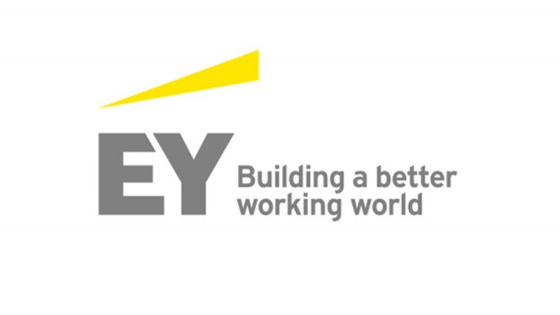 Consultant Financial Accounting and Advisory Services,EY - STJEGYPT