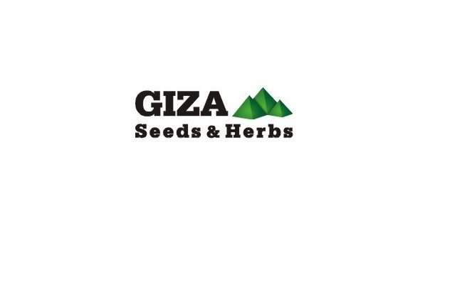 Talent Acquisition Specialist ,Giza Seeds & Herbs - STJEGYPT
