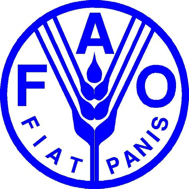 Office Assistant at FAO - STJEGYPT