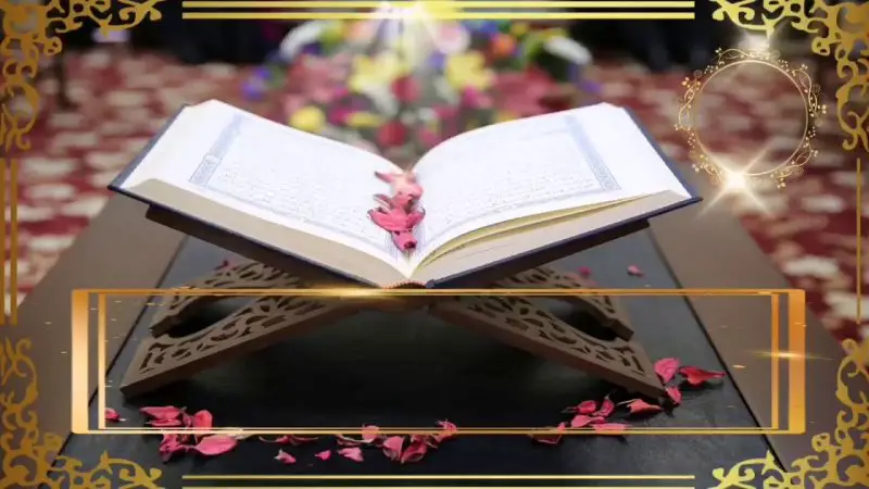 القرآن الكريم كاملا بعشر لغات مختلفة - STJEGYPT