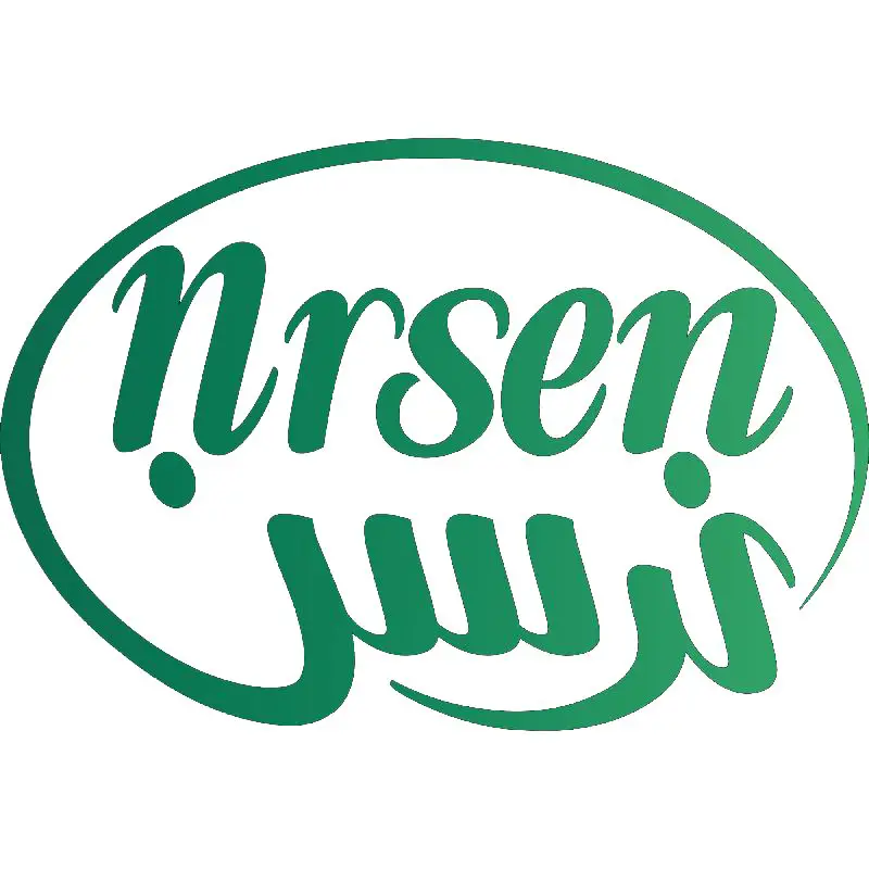 Videographer and Video Editor - Social Media Content Creator at Nrsen - STJEGYPT
