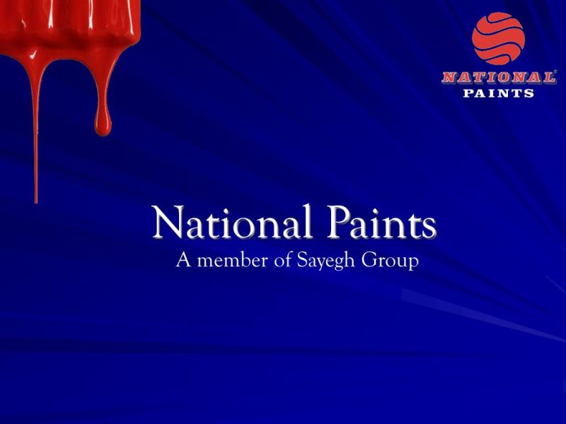 Marketing Executive at National Paints - STJEGYPT