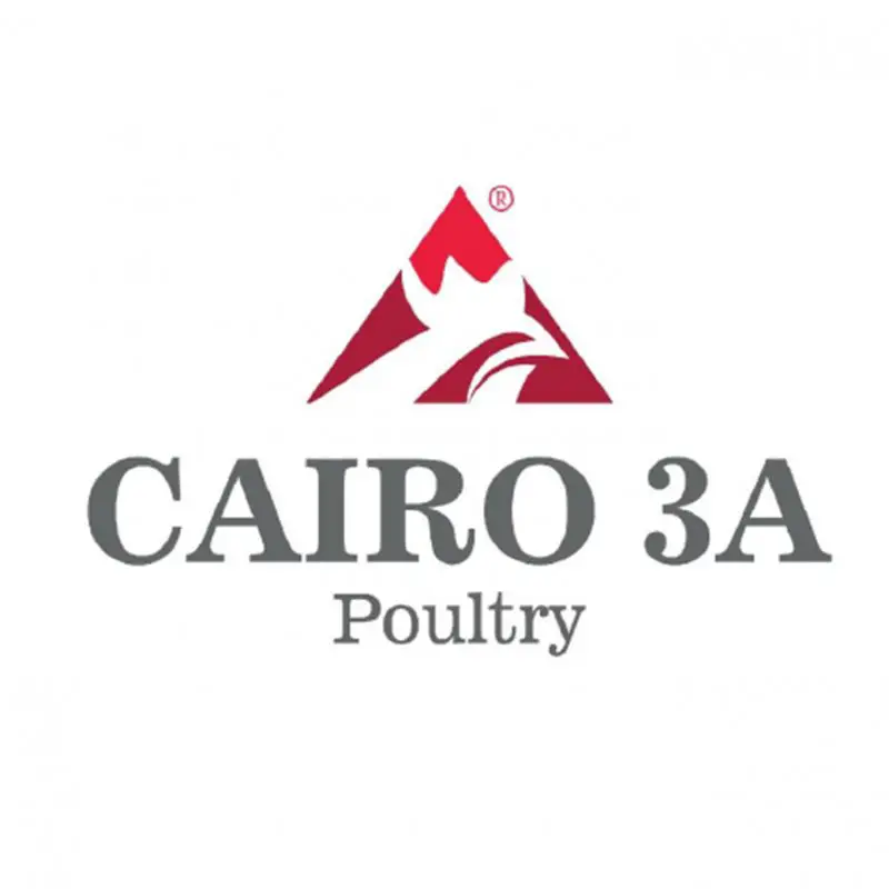 Admin Assistant  at Cairo 3A Poultry - STJEGYPT