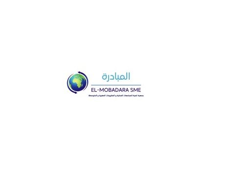 Credit analyst at EL-Mobadara