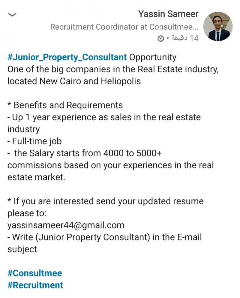 Junior Property Consultant - STJEGYPT