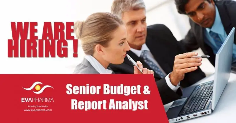 Senior Budget and Report Analyst - STJEGYPT