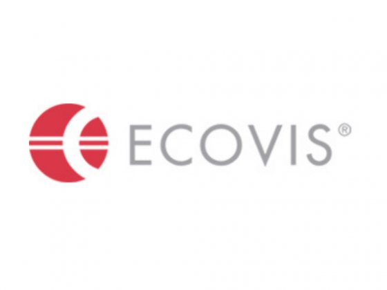 Junior_Accountant at Ecovis Elkadeem - STJEGYPT