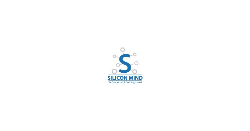 Accountant , Silicon Mind - STJEGYPT