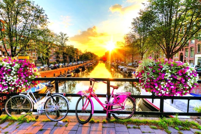 منحة وزارة التعليم الهولندية