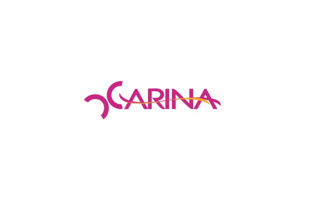 Store Accountant -  Carina Wear - STJEGYPT