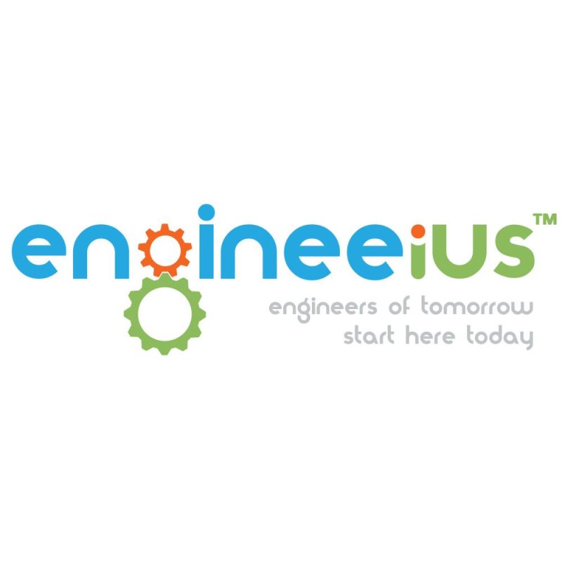 Sales at Engineeius Egypt - STJEGYPT