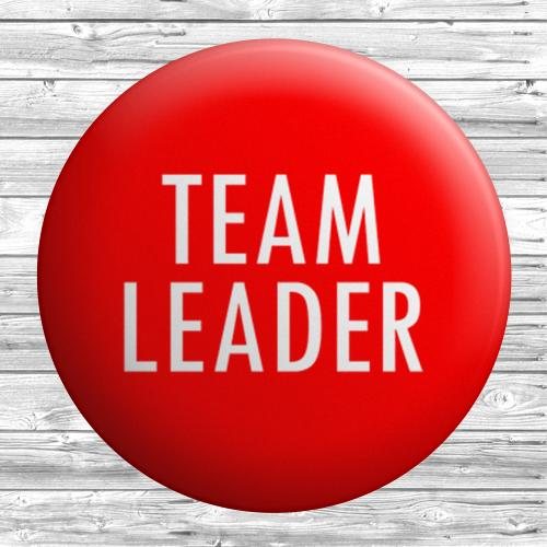 Team Leader - Micro Finance - STJEGYPT