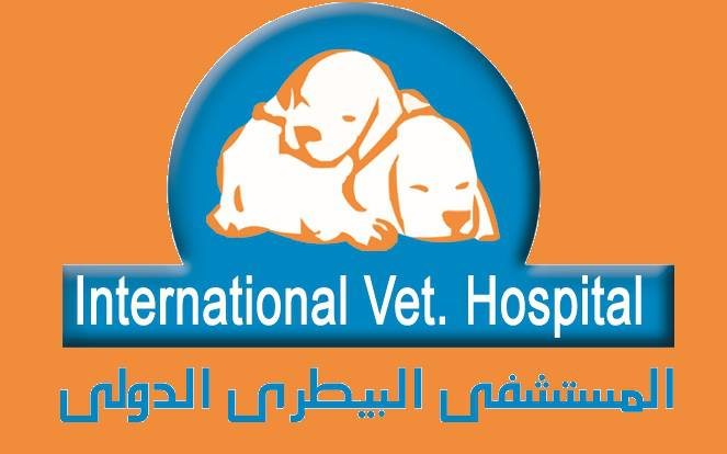 Receptionist at International vet hospital - STJEGYPT