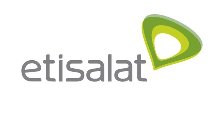 Fixed Assets Accountant,Etisalat - STJEGYPT