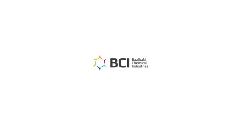 Accountant - BCI - STJEGYPT