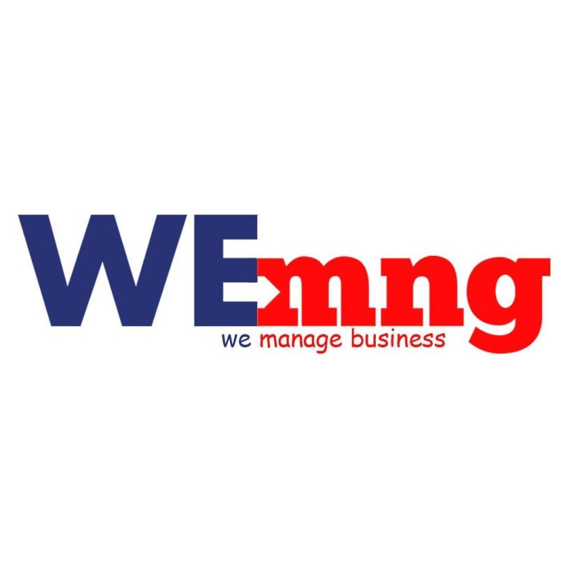 Junior Accountant at we mng - STJEGYPT