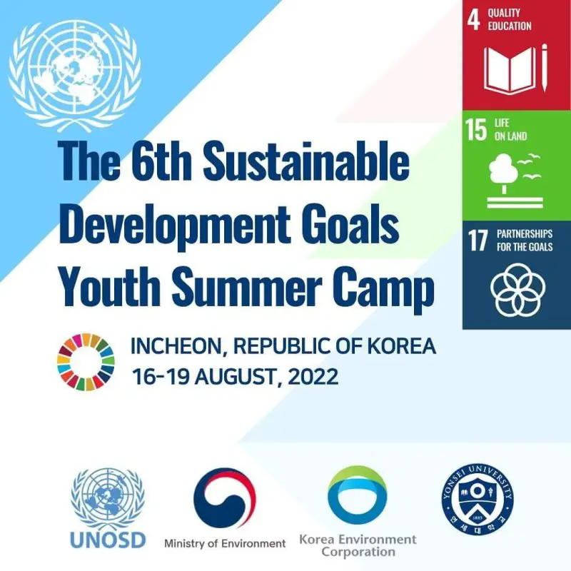 المخيم الصيفي للشباب في كوريا الجنوبية لمدة 4 أيام - STJEGYPT