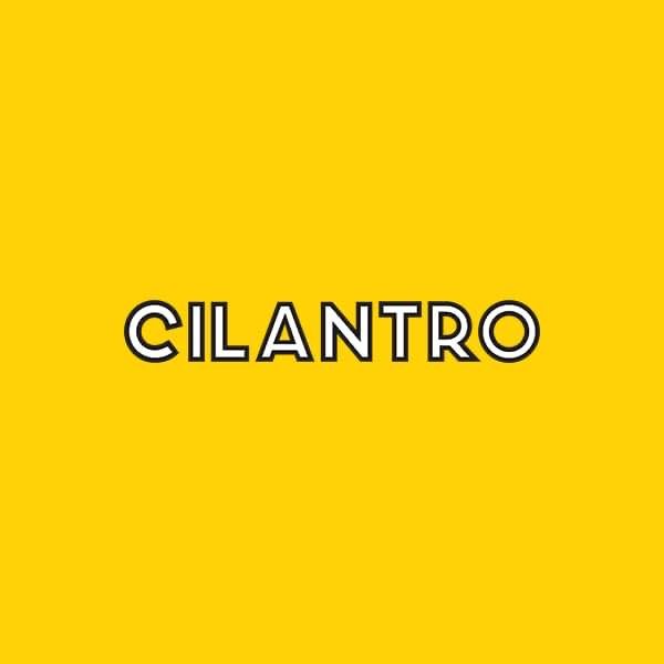 Senior Cost Accountant at Cilantro - STJEGYPT