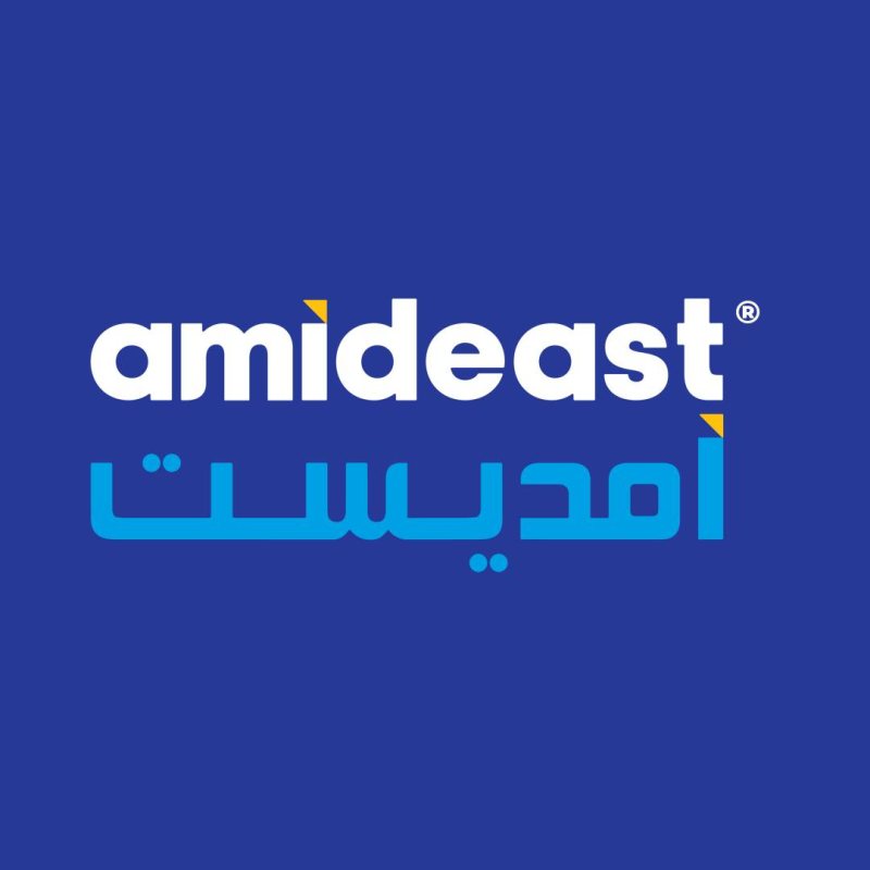 Data Entry at Amideast - STJEGYPT