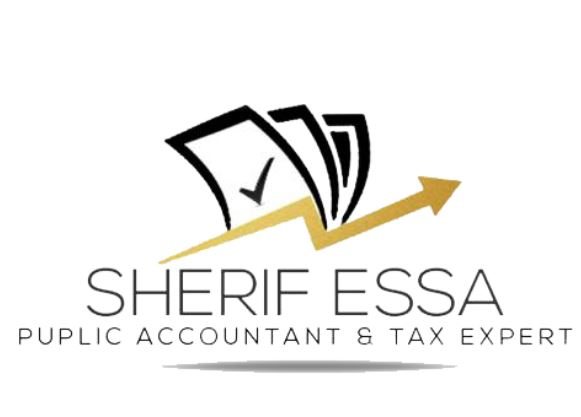 Accountant - Sherif  Essa audit firm - STJEGYPT