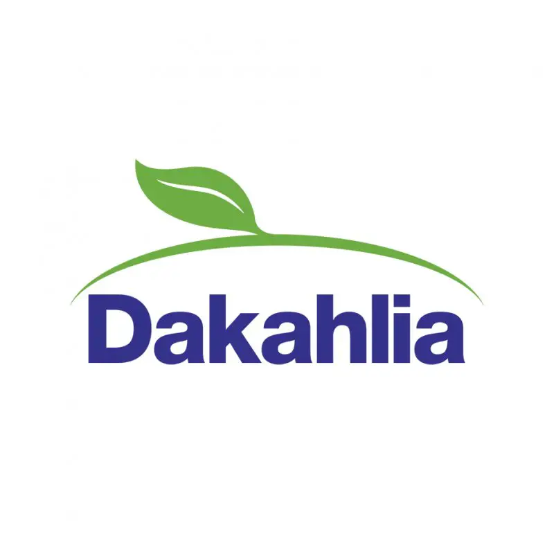 Accounting at dakahlia - STJEGYPT