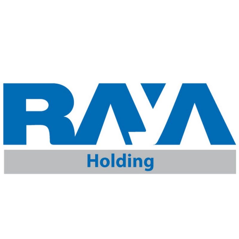Internal Auditor at Raya Holding for Financial Investments - STJEGYPT