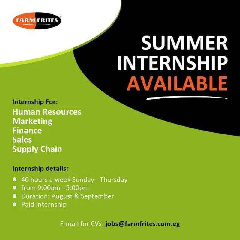 Summer Internship - Farm Frites - STJEGYPT