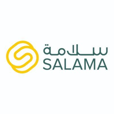 Customer Service Representative at Salama - STJEGYPT