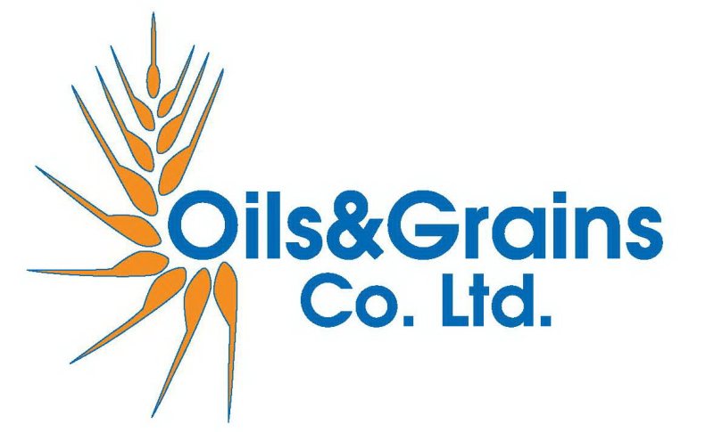 Oils and Grains ( Located in New Cairo ) is now hiring Accountants - STJEGYPT