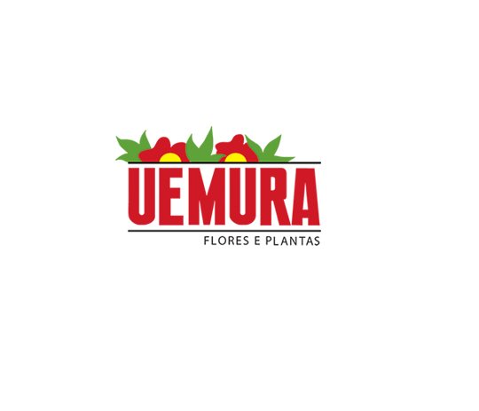 Accountant Assistant at UEMURA - STJEGYPT