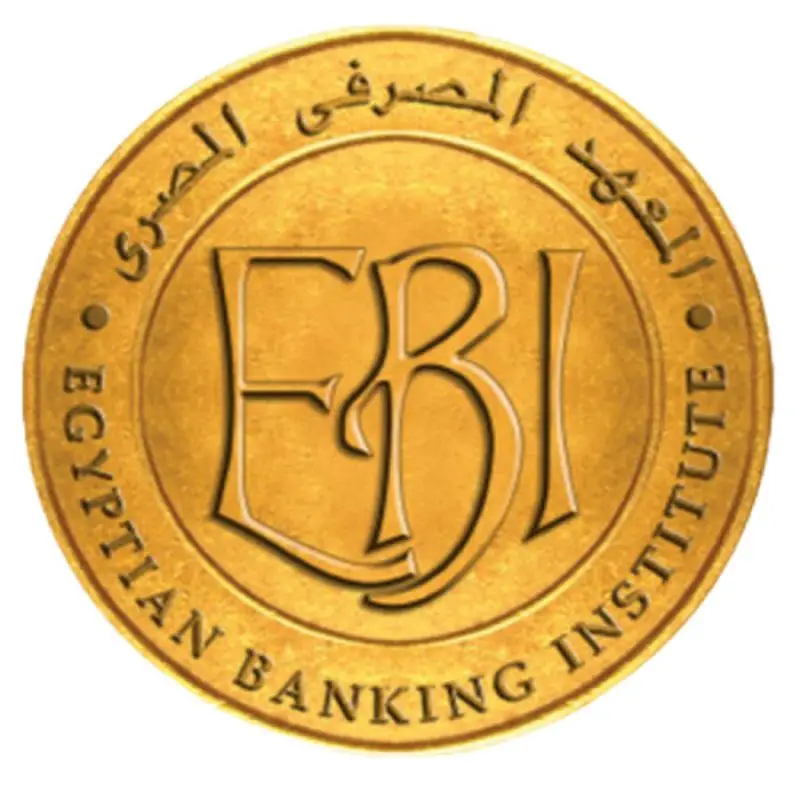 Developer at Egyptian Banking Institute - STJEGYPT