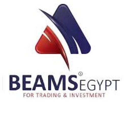 Accountant - BEAMS Egypt - STJEGYPT