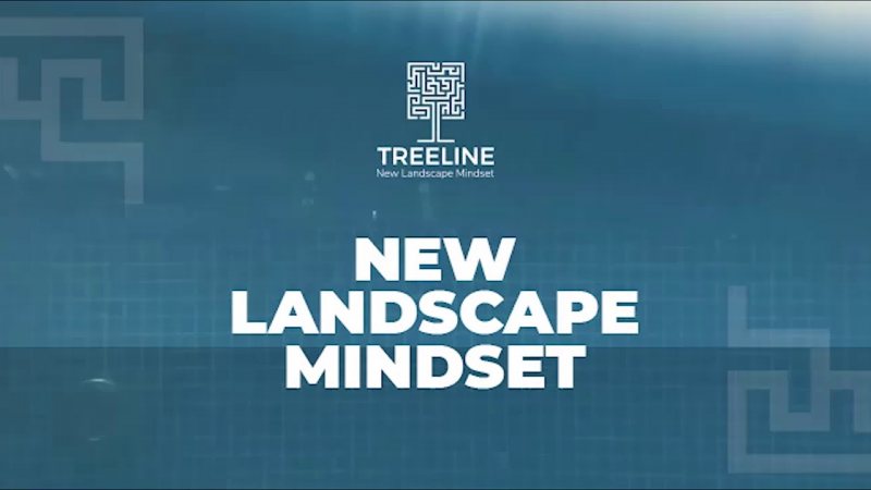 Accountant at Treeline Landscape - STJEGYPT