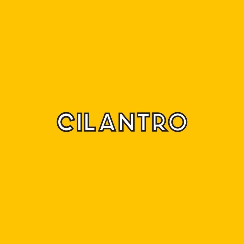 AR Accountant at Cilantro - STJEGYPT