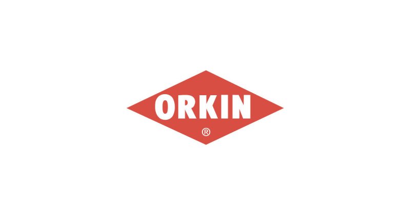 Senior Accountant at Orkin Egypt - Pest Control Service - STJEGYPT